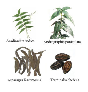 Basiskr&auml;utermischung 160g